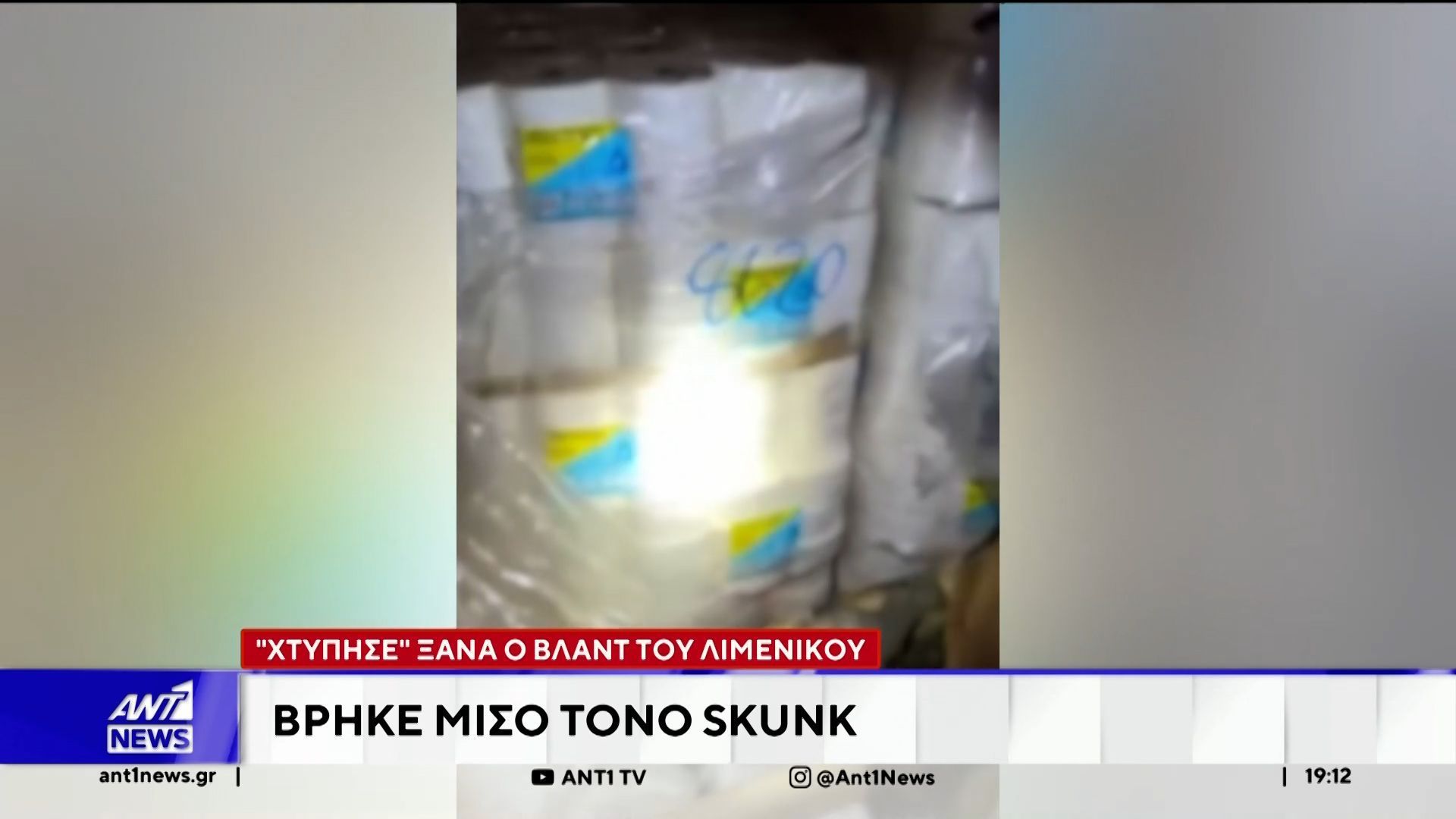 Ηγουμενίτσα: “Χτύπησε” ξανά ο Βλαντ του Λιμενικού – Βρήκε μισό τόνο Skunk