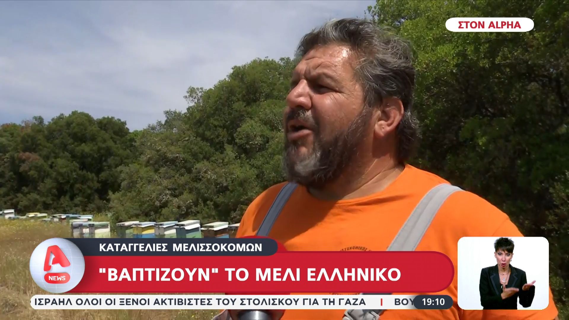 Καταγγελίες κτηνοτρόφων: “Βαπτίζουν” το μέλι ελληνικό