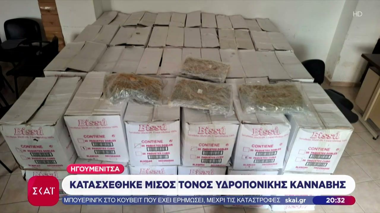 Μισός τόνος υδροπονικής κάνναβης: Ο Βλαντ ο σκύλος του λιμενικού “μυρίστηκε” τα ναρκωτικά