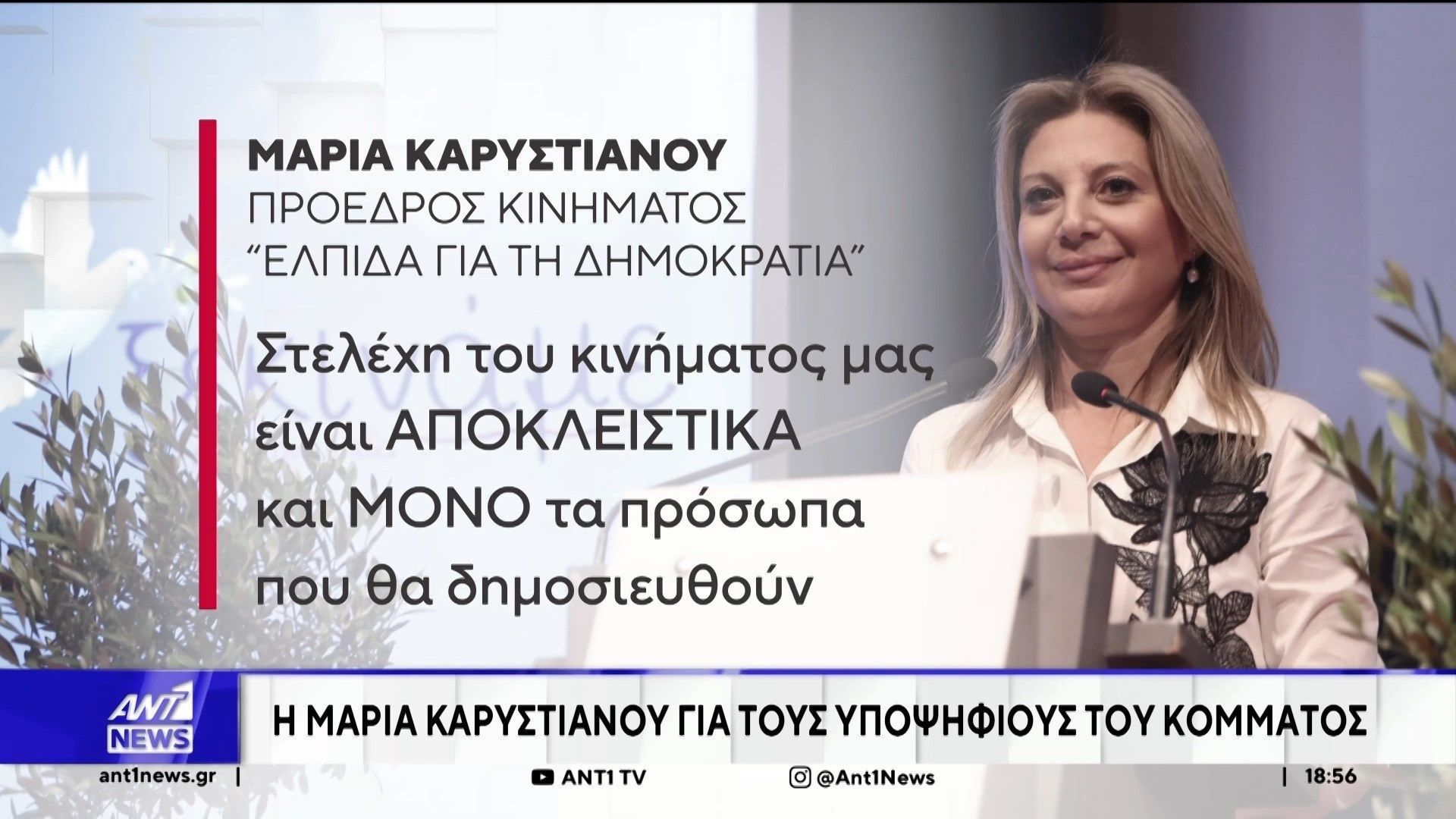 “Στελέχη του κινήματος είναι μόνο πρόσωπα που θα δημοσιευθούν στην ιστοσελίδα μας”, ξεκαθαρίζει η Μαρία Καρυστιανού