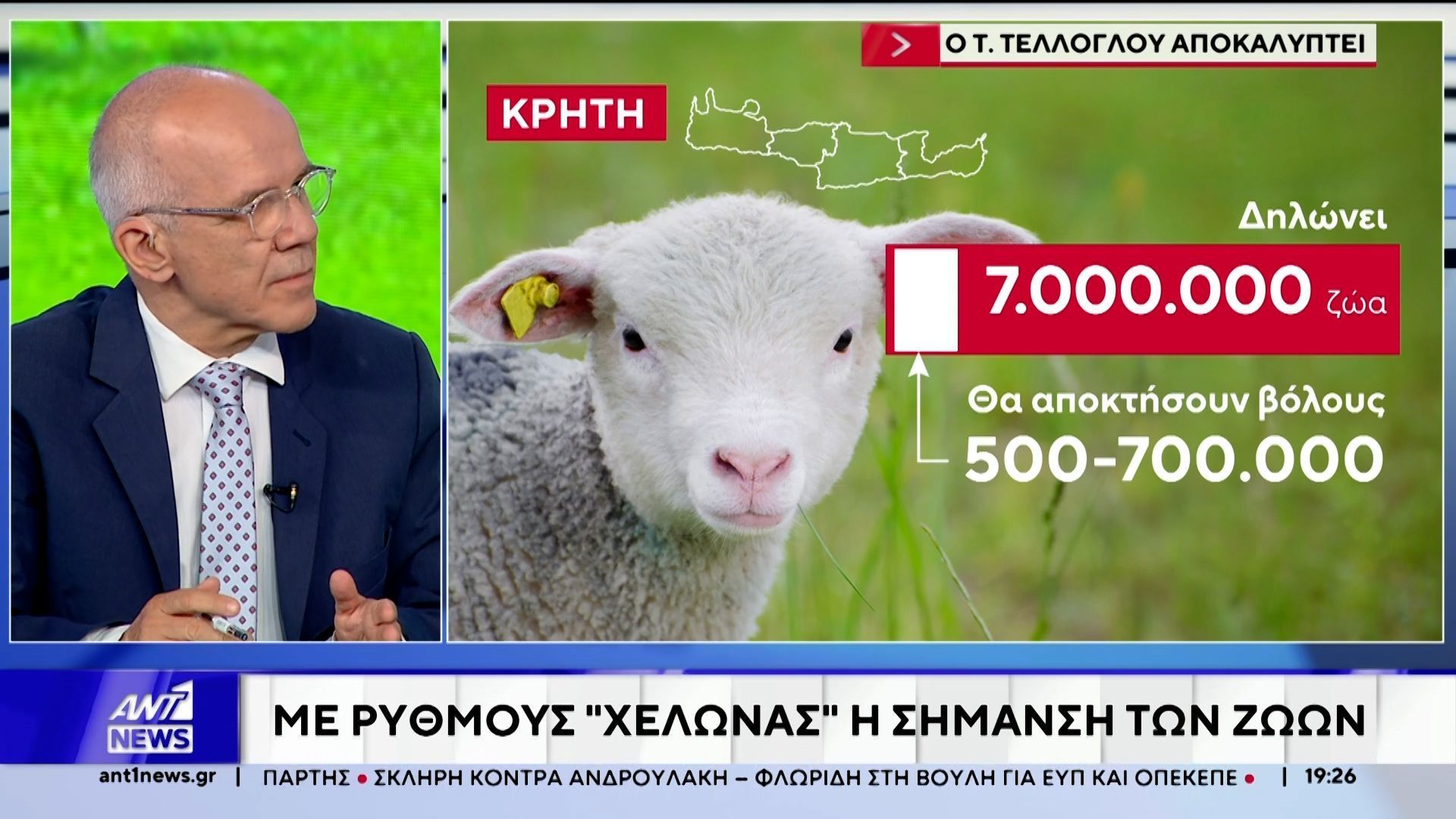 Τέλλογλου για ΟΠΕΚΕΠΕ: Με ρυθμούς “χελώνας” η σήμανση των ζώων