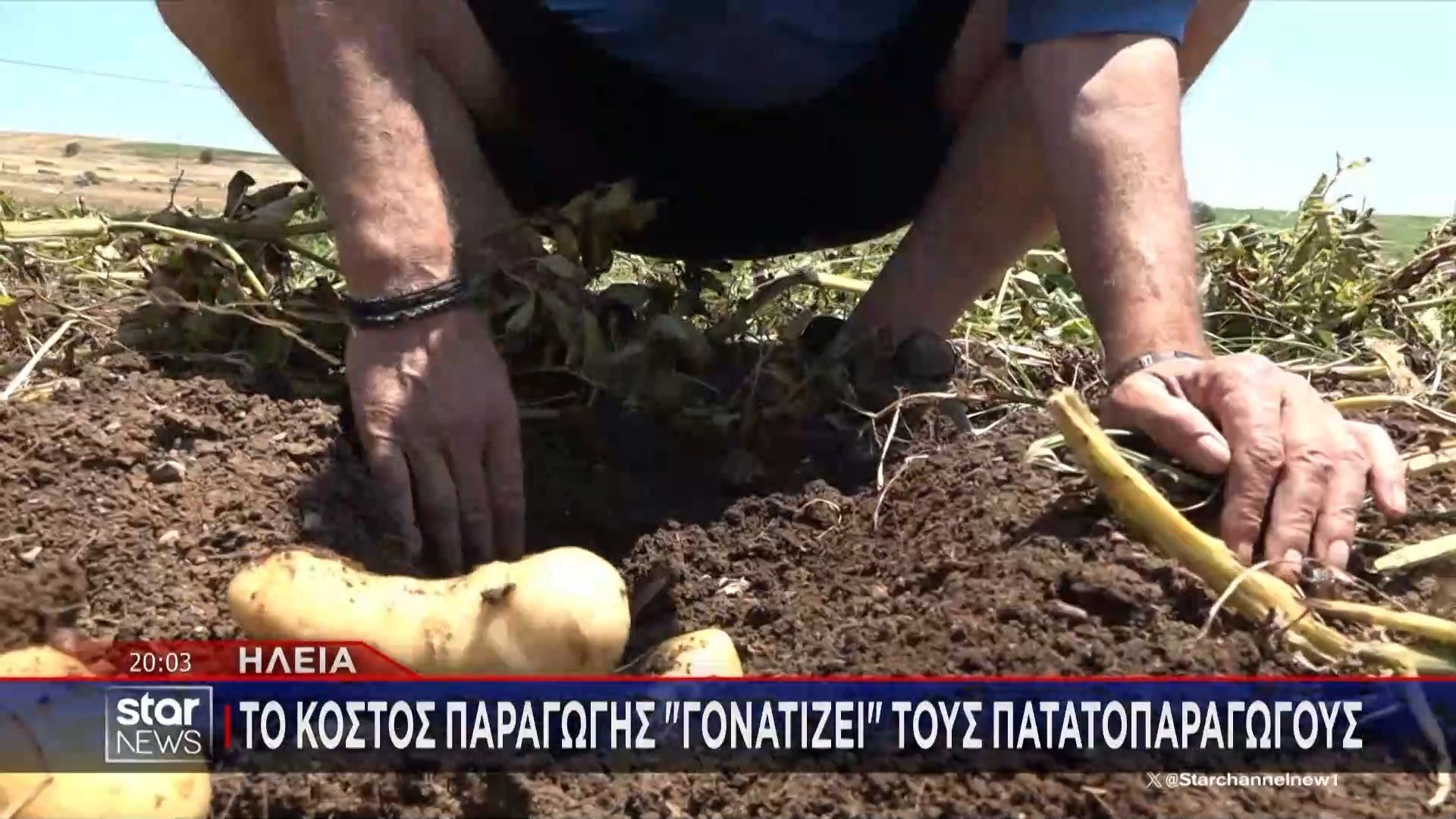 Το κόστος παραγωγής “γονατίζει” τους πατατοπαραγωγούς της Ηλείας