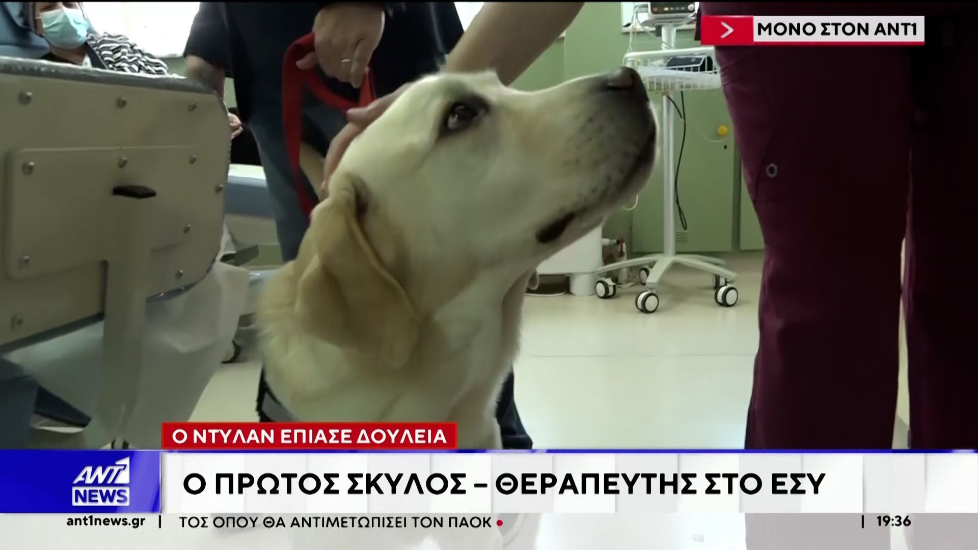 Δουλειά στο ΕΣΥ έπιασε ο Ντύλαν