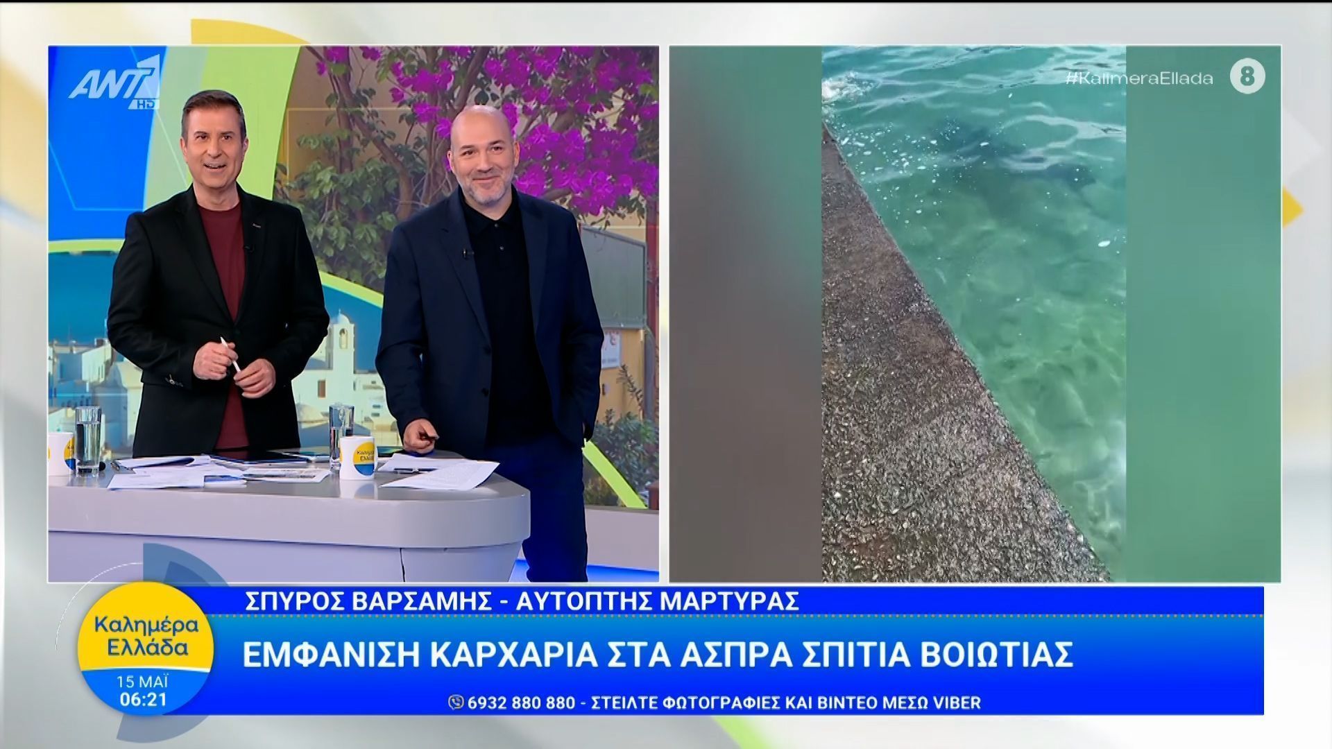 Εμφάνιση καρχαρία στα Άσπρα Σπίτια Βοιωτίας – Καλημέρα Ελλάδα – 15/05/2026