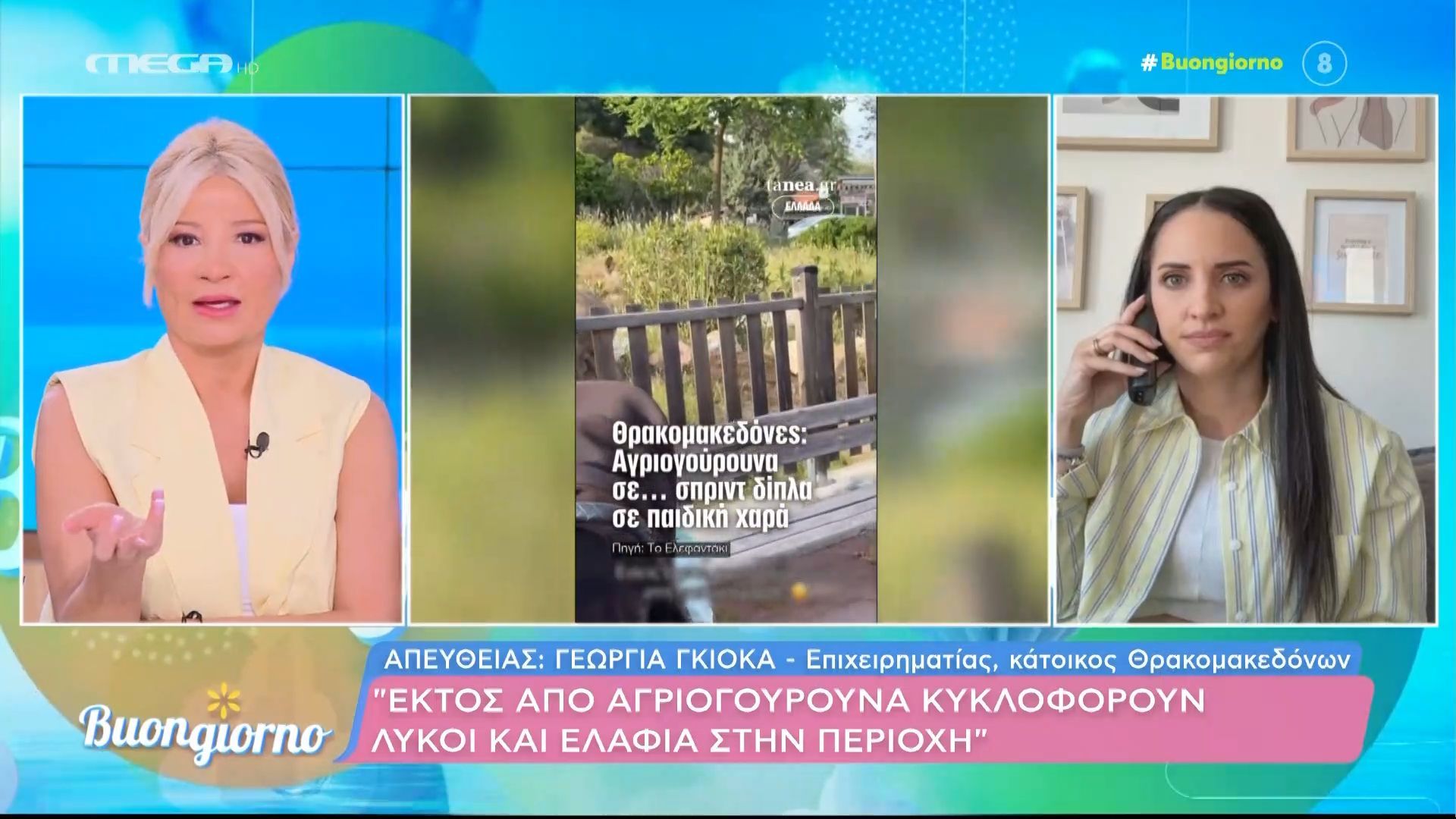 Έντονη ανησυχία των κατοίκων για την παρουσία αγιογούρουνων σε παιδική χαρά