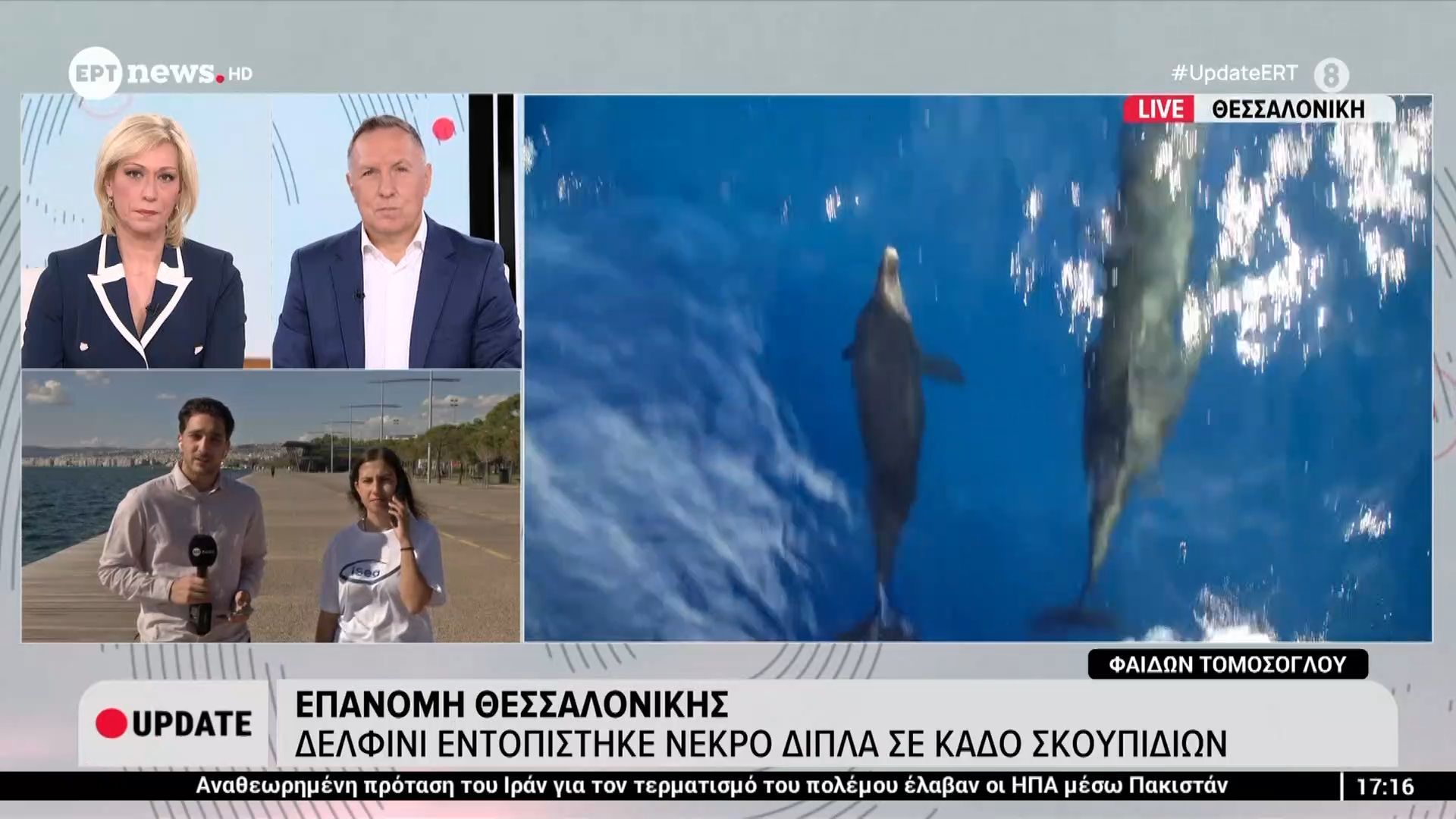Επανομή Θεσσαλονίκης: Δελφίνι εντοπίστηκε νεκρό δίπλα σε κάδο σκουπιδιών – Κ. Πυλωρίδου, υπεύθυνη προγράμματος iSea