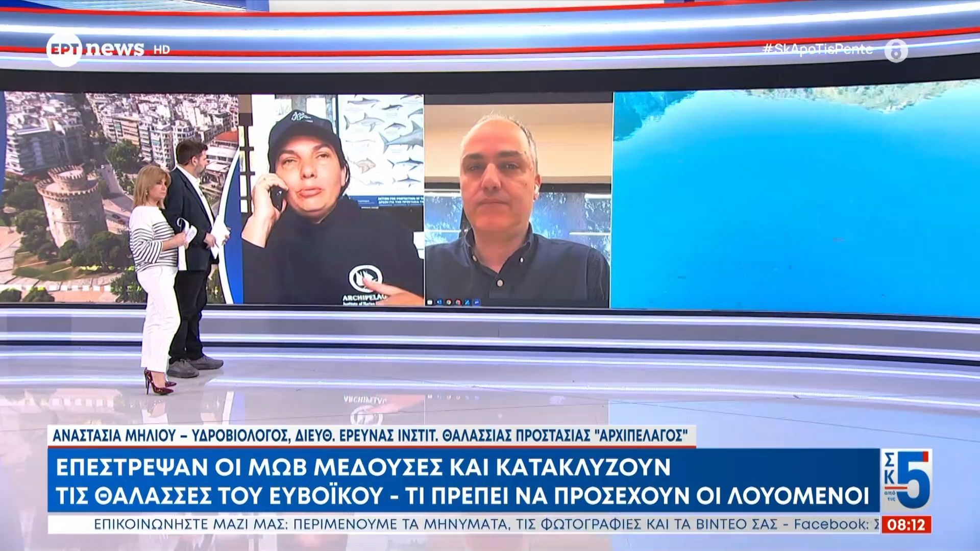 Επέστρεψαν οι μωβ μέδουσες και κατακλύζουν τις θάλασσες του Ευβοϊκού – Τι πρέπει να προσέχουν οι λουόμενοι