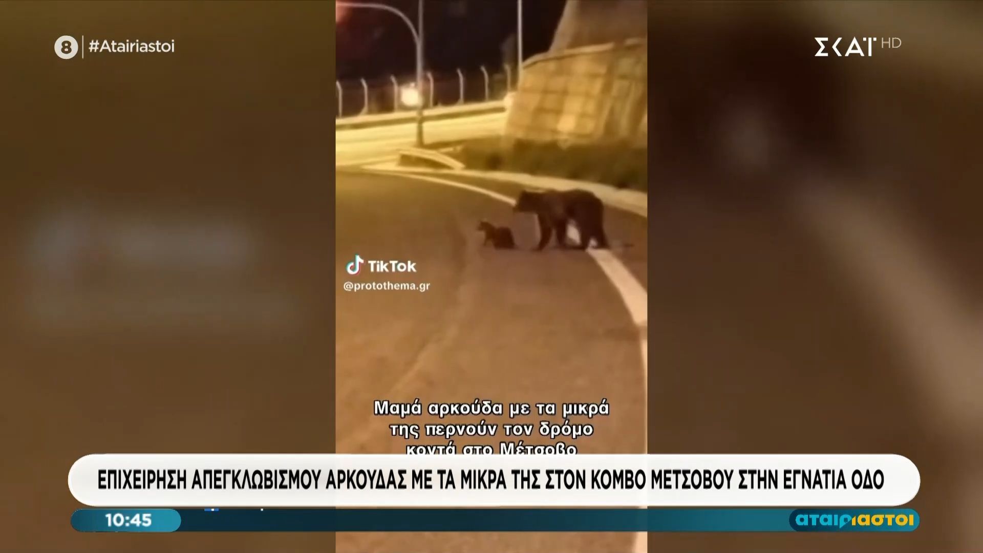 Επιχείρηση απεγκλωβισμού αρκούδας με τα μικρά της στον κόμβο Μετσόβου στην Εγνατία Οδό