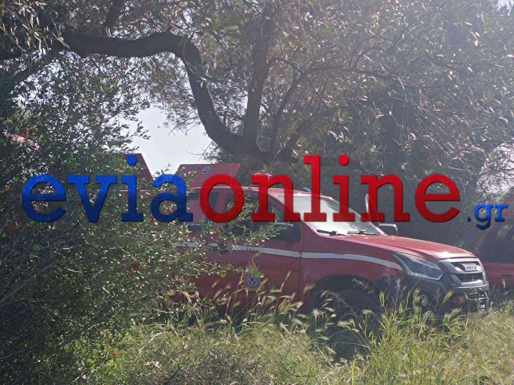 Τροχαίο στην Ερέτρια