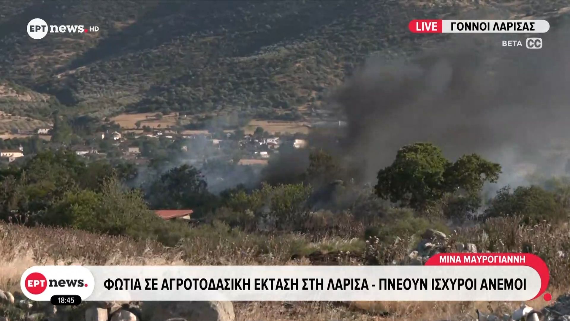 Φωτιά σε αγροτοδασική έκταση στη Λάρισα – Πνέουν οι ισχυροί άνεμοι