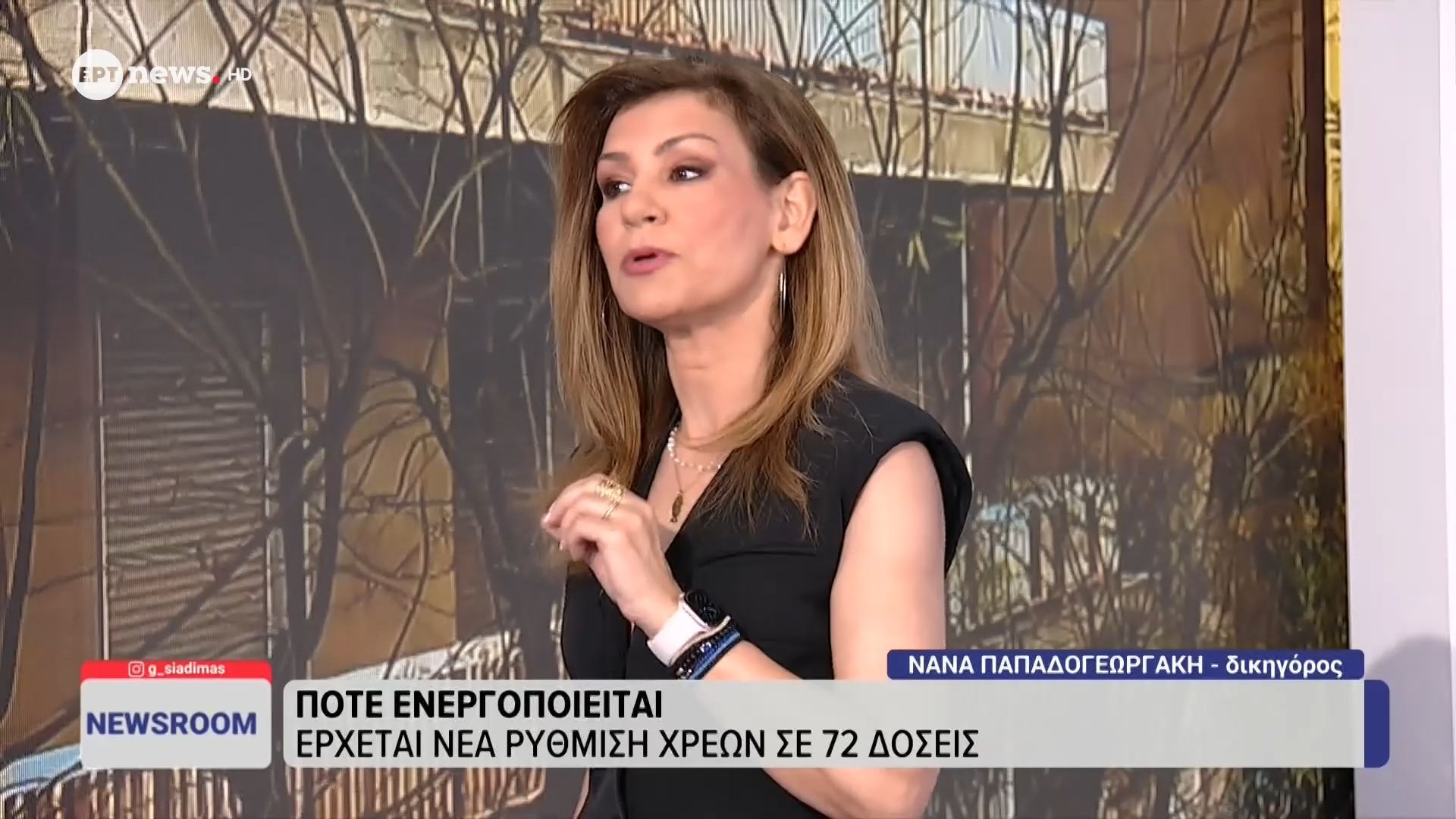 Η δικηγόρος Νανά Παπαδογεωργάκη στο ΕΡΤnews