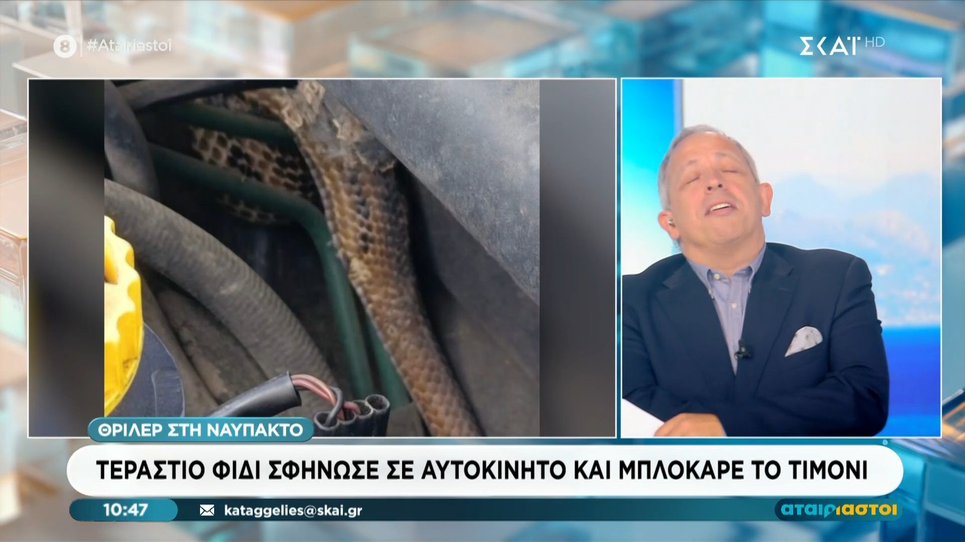 Η δυσαρέσκεια του Χ. Κούτρα με το φίδι στη Ναύπακτο – «Δε θέλουμε και λεπτομέρειες»
