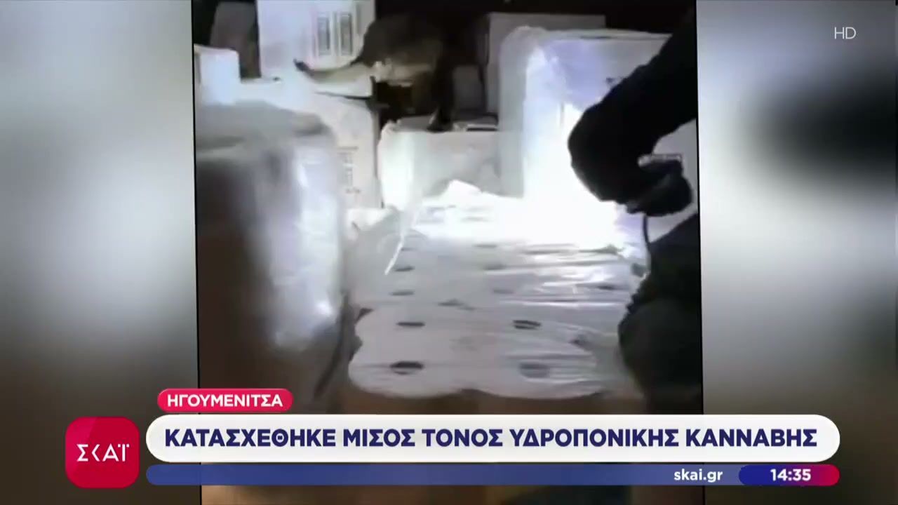 Ηγουμενίτσα: Κατασχέθηκε μισός τόνος υδροπονικής κάνναβης, με αξία που αγγίζει τα 2,5 εκατ.