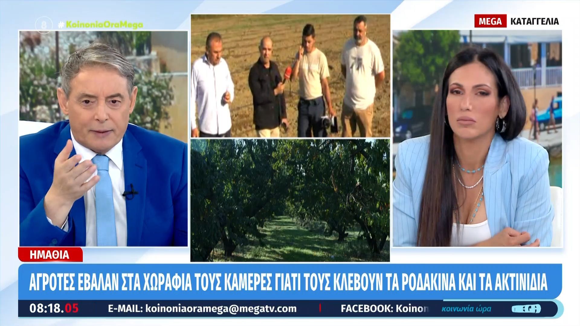 Ημαθία: Αγρότες έβαλαν στα χωράφια τους κάμερες γιατί τους κλέβουν τα ροδάκινα και τα ακτινίδια