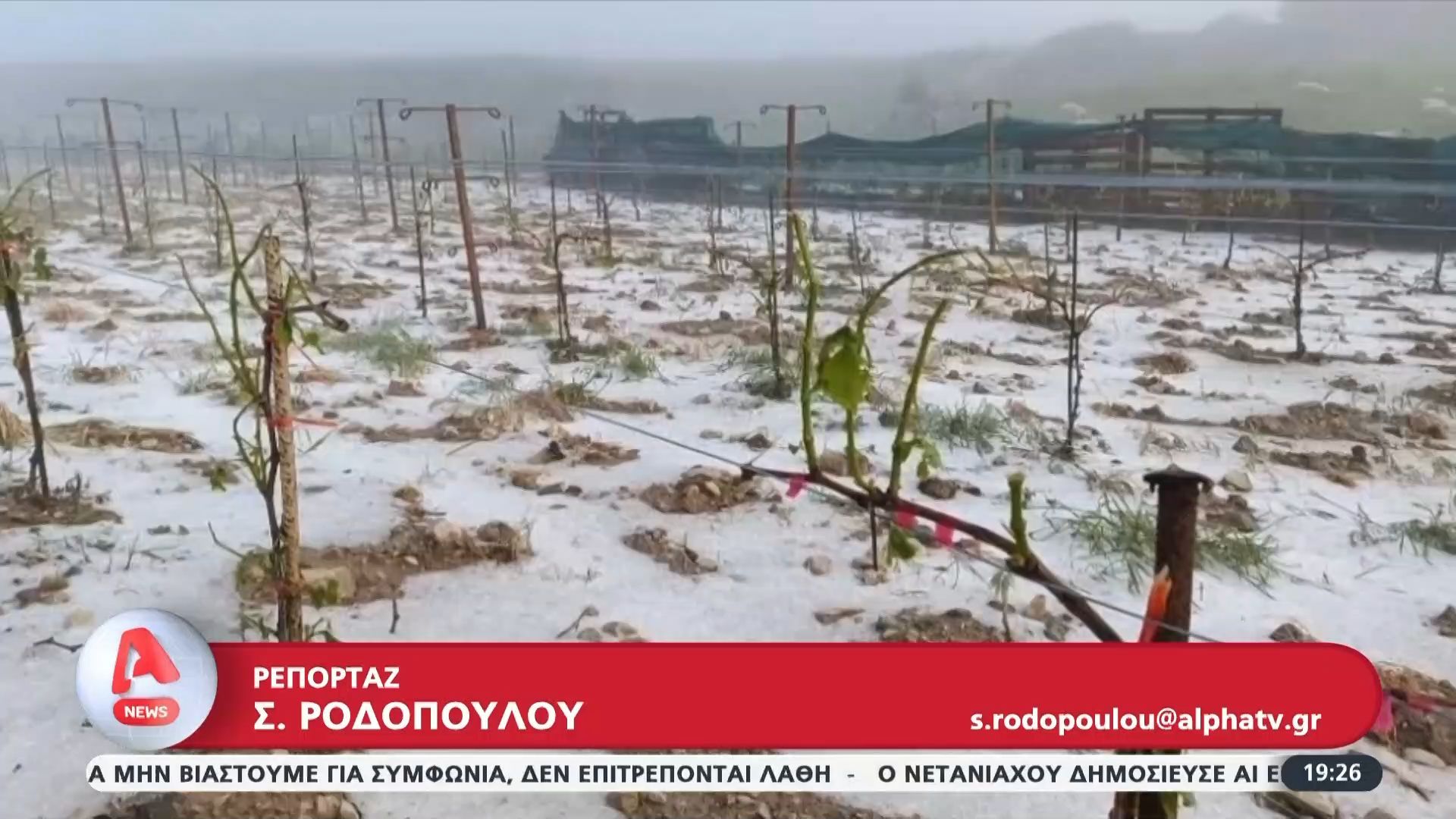 Ηράκλειο Κρήτης: Ζημιές σε αμπελώνες από χαλαζόπτωση