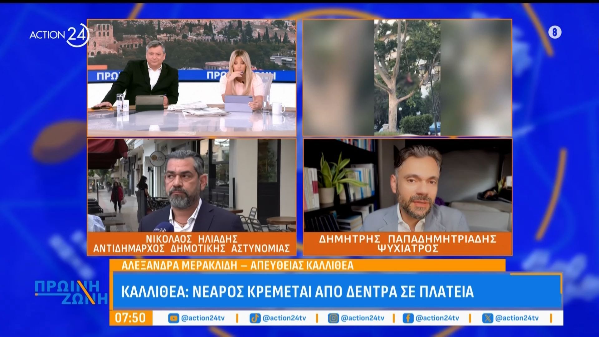 Καλλιθέα: Σοκάρει βίντεο με επικίνδυνα ακροβατικά από νεαρό που κρέμεται από δέντρα