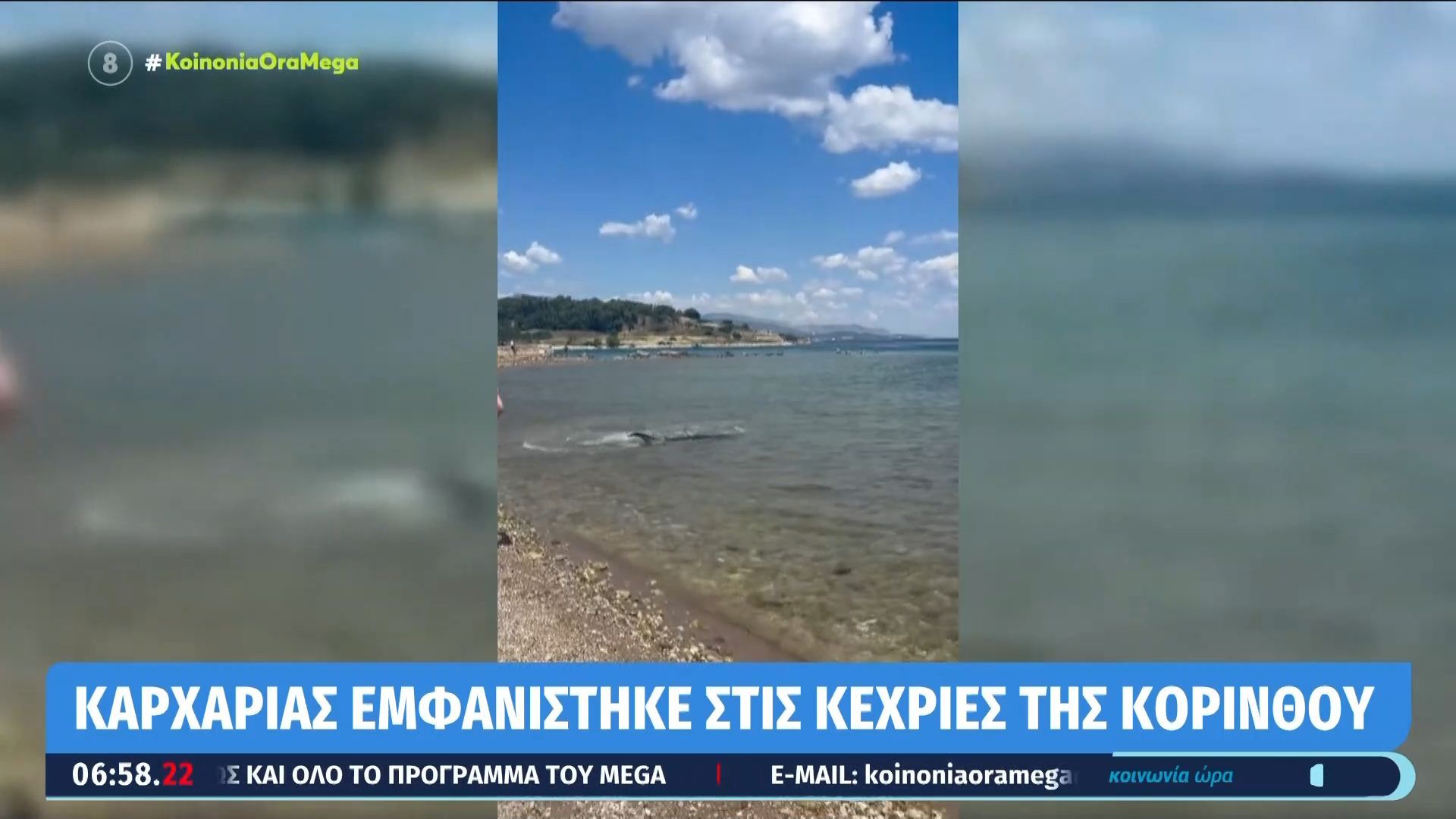 Καρχαρία εμφανίσθηκε στις Κεχριές της Κορίνθου