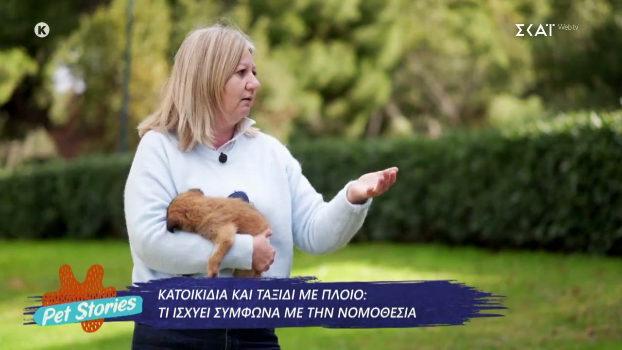 Κατοικίδια και ταξίδι με πλοίο: Τι ισχύει σύμφωνα με την νομοθεσία