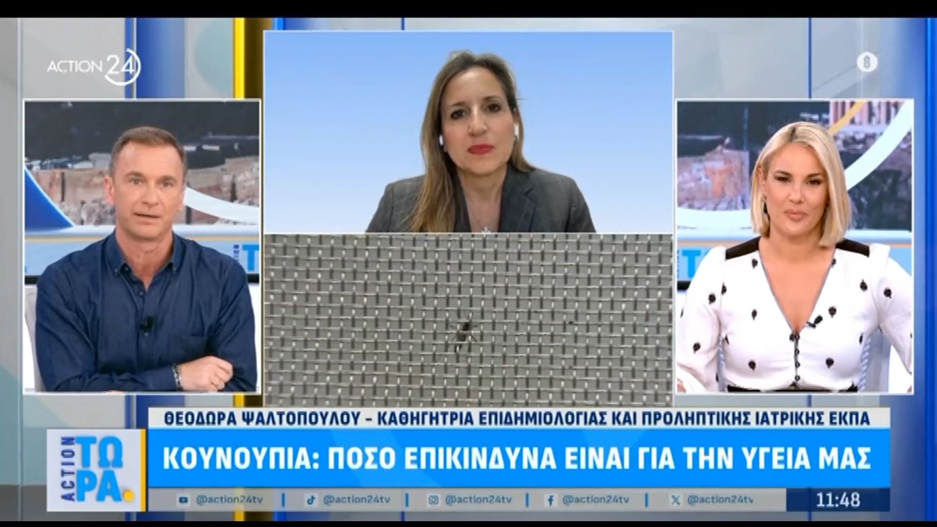 Κουνούπια: Πόσο επικίνδυνα είναι για την υγεία μας – Η Θ. Ψαλτοπούλου στο «Action Τώρα»