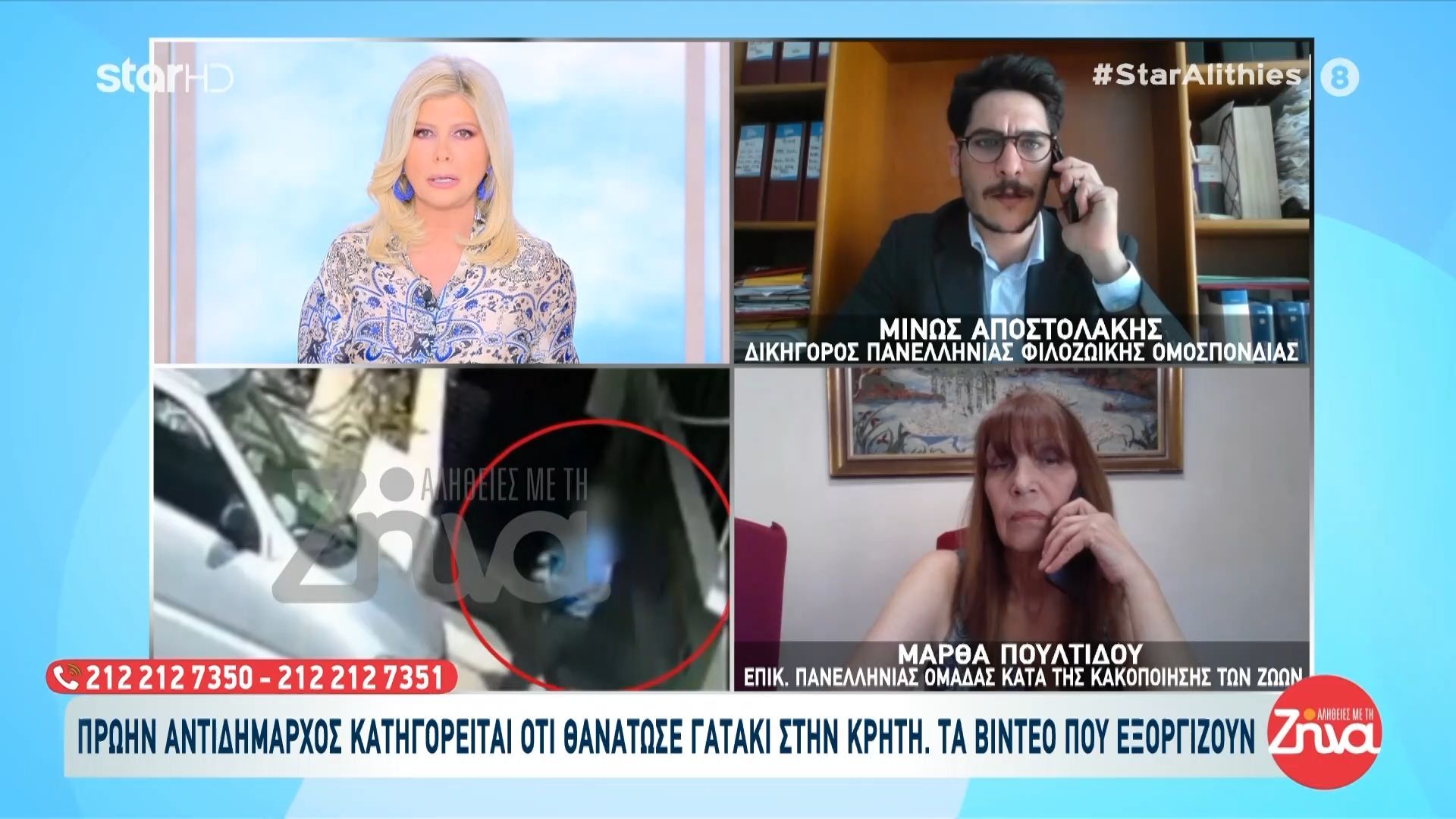 Κρήτη: Πρώην αντιδήμαρχος κατηγορείται ότι θανάτωσε γατάκι – Βίντεο ντοκουμέντο