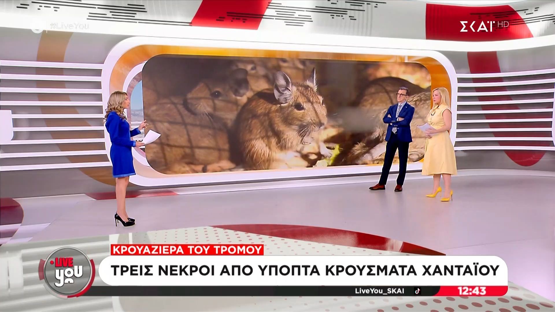 Κρουαζιέρα τρόμου: Τρεις νεκροί από ύποπτα κρούσματα Χανταϊού
