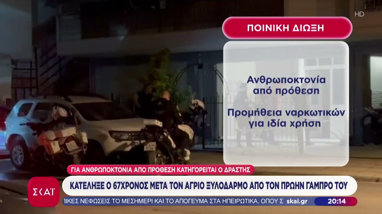 Κτηνοτροφία: Νέοι εγκαταλείπουν την Αθήνα και επιστρέφουν στα χωριά, αλλά οι δυσκολίες είναι πολλές