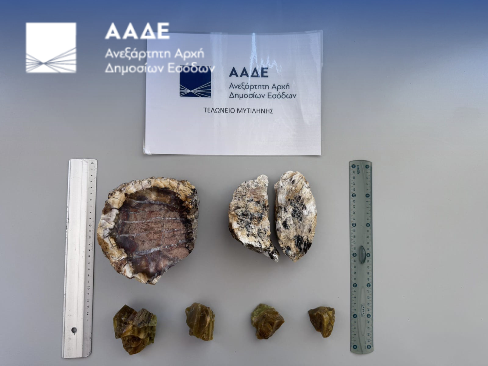 Αφαίρεσαν απολιθώματα από το δάσος της Λέσβου και επιχείρησαν να τα μεταφέρουν στην Ολλανδία 2 Απολιθώματα από το δάσος της Λέσβου
