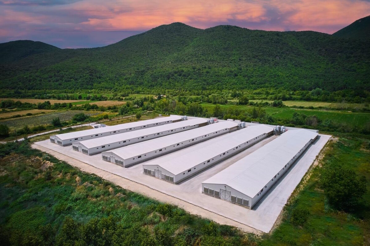 Η Νιτσιάκος εισέρχεται στην ουκρανική ΜΗΡ: Αποκτά το 70% με προοπτική πλήρους εξαγοράς