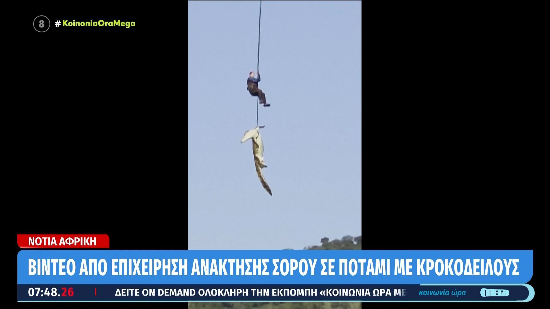 Νότα Αφρική: Στην κοιλιά ενός κροκόδειλου βρέθηκαν οστά αγνοούμενου ξενοδόχου και έξι ζευγάρια παπούτσια