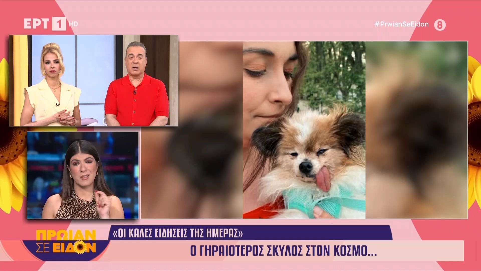 Ο γηραιότερος σκύλος στον κόσμο