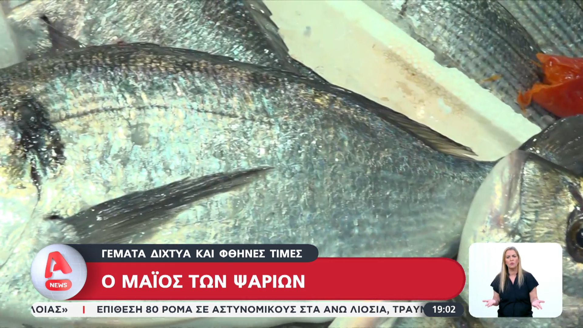 Ο Μάιος των ψαριών – Φθηνές τιμές και προσφορές