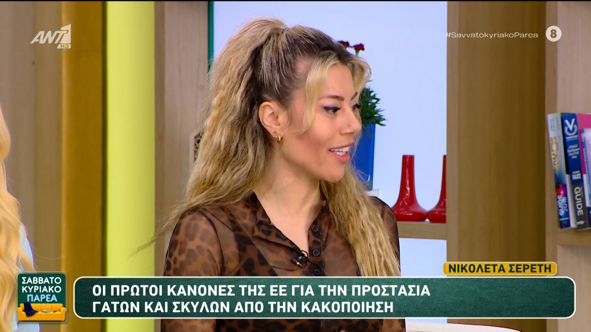 Οι πρώτοι κανόνες της Ε.Ε. για την προστασία γατών και σκύλων από την κακοποίηση – Σαββατοκύριακο Παρέα – 03/05/2026