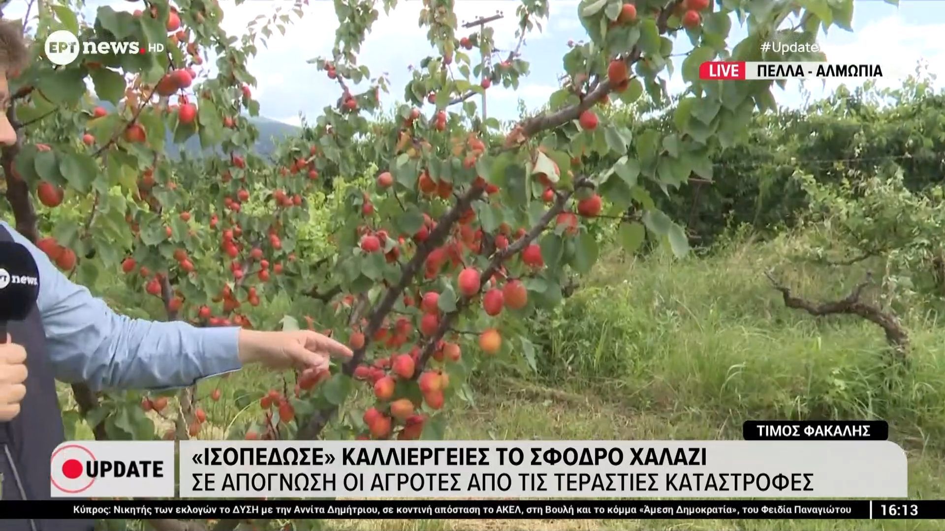 Πέλλα: «Πρωτοφανής» χαλαζόπτωση έπληξε χιλιάδες στρέμματα δενδροκαλλιεργειών στην Αλμωπία
