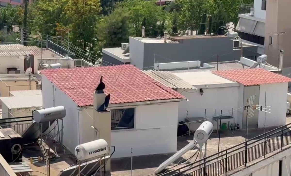Home 55 Περιστέρι: Καταδικάστηκαν οι γονείς των 6 παιδιών που διέμεναν σε άθλιες συνθήκες
