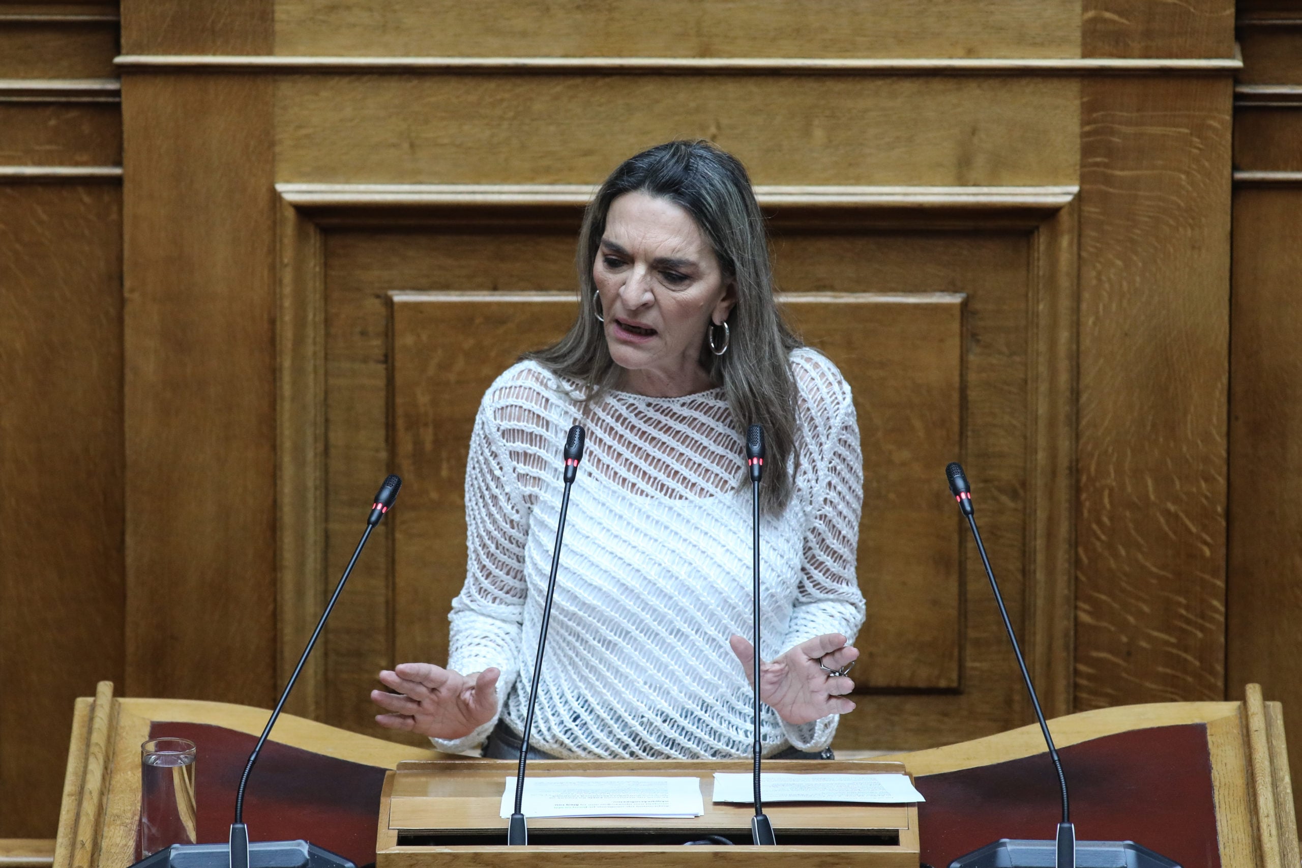 Πέρκα: Αδικαιολόγητη η επίκληση λόγων εθνικής ασφάλειας