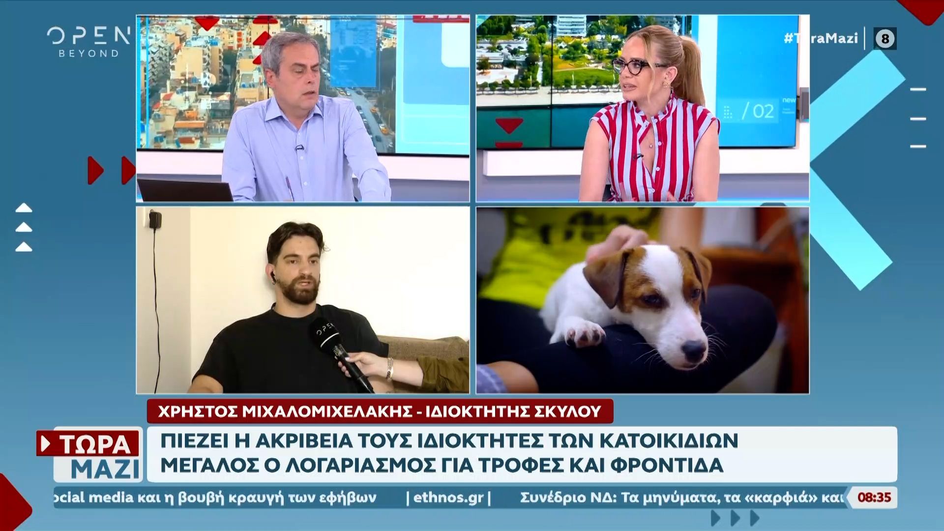 Πιέζει η ακρίβεια τους ιδιοκτήτες κατοικιδίων – Μεγάλος ο λογαριασμός για τροφές και φροντίδα