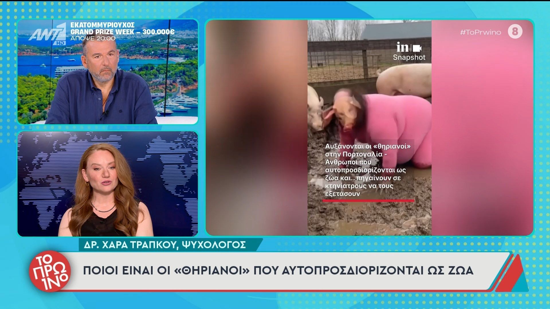 Ποιοι είναι οι «θηριανοί» που αυτοπροσδιορίζονται ως ζώα – Το Πρωινό – 21/05/2026