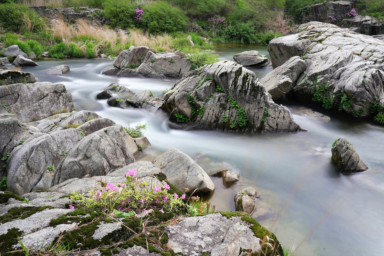 Πώς να κόψεις 3 streaming συνδρομές χωρίς να χάσεις σειρές