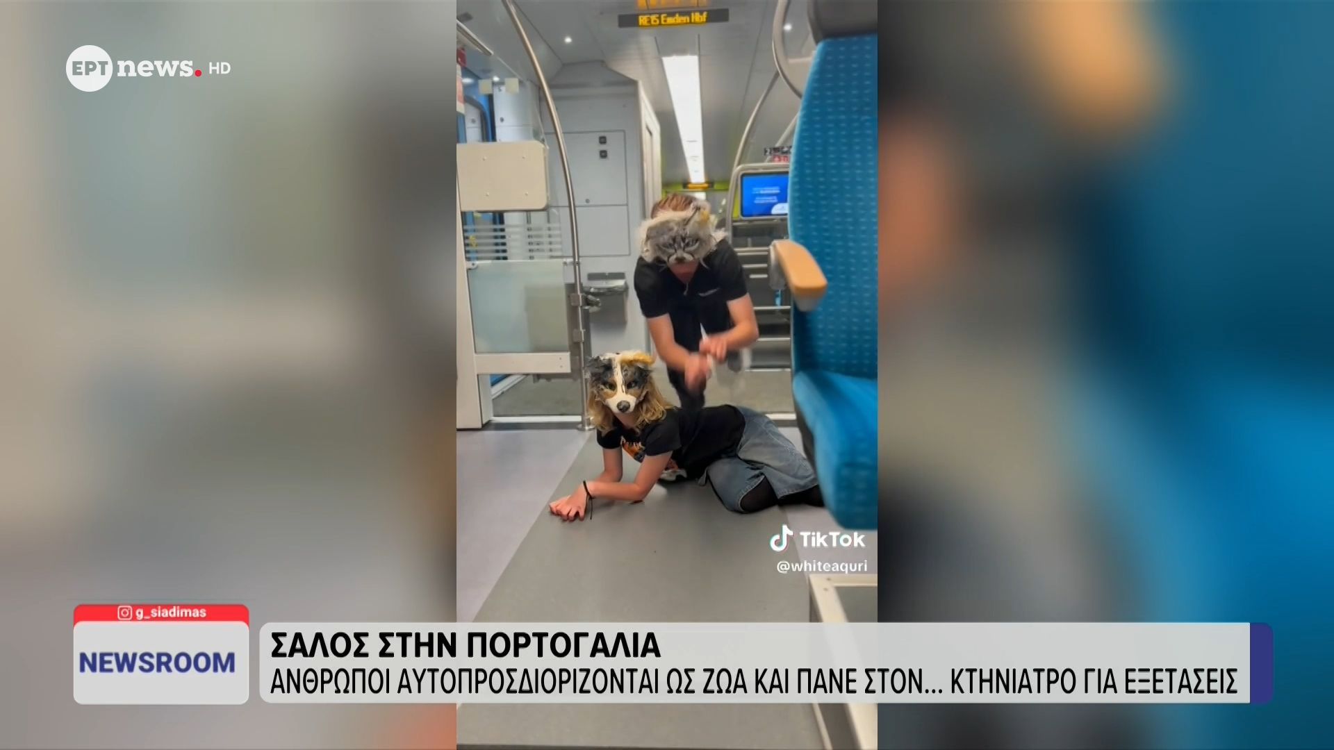 Σάλος στην Πορτογαλία: Άνθρωποι αυτοπροσδιορίζονται ως ζώα και πάνε στον…κτηνίατρο για εξετάσεις