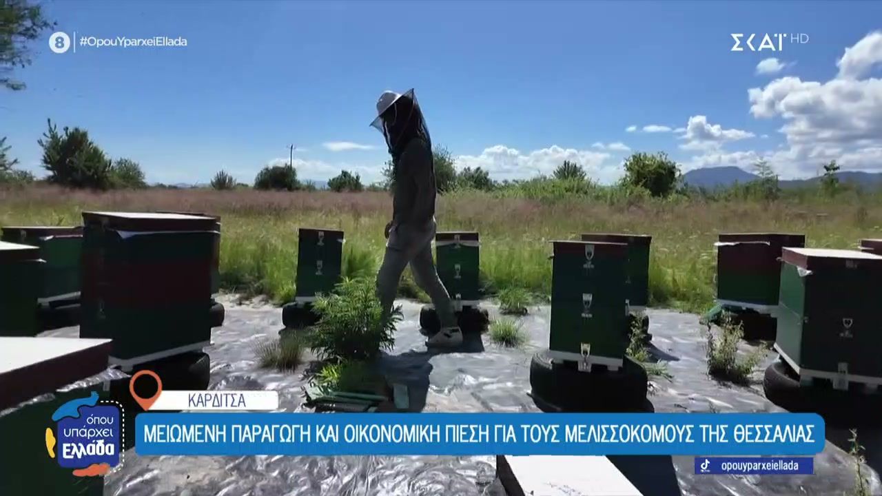 Σε απόγνωση οι μελισσοκόμοι της Καρδίτσας από το αυξημένο κόστος και την κλιματική κρίση