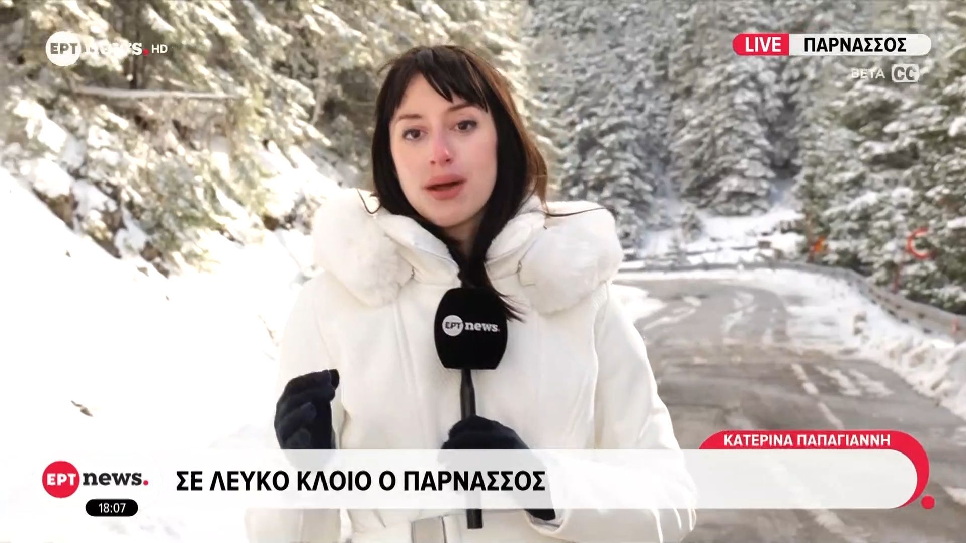 Σε λευκό κλοιό ο Παρνασσός – Κάτω από το μηδέν η θερμοκρασία