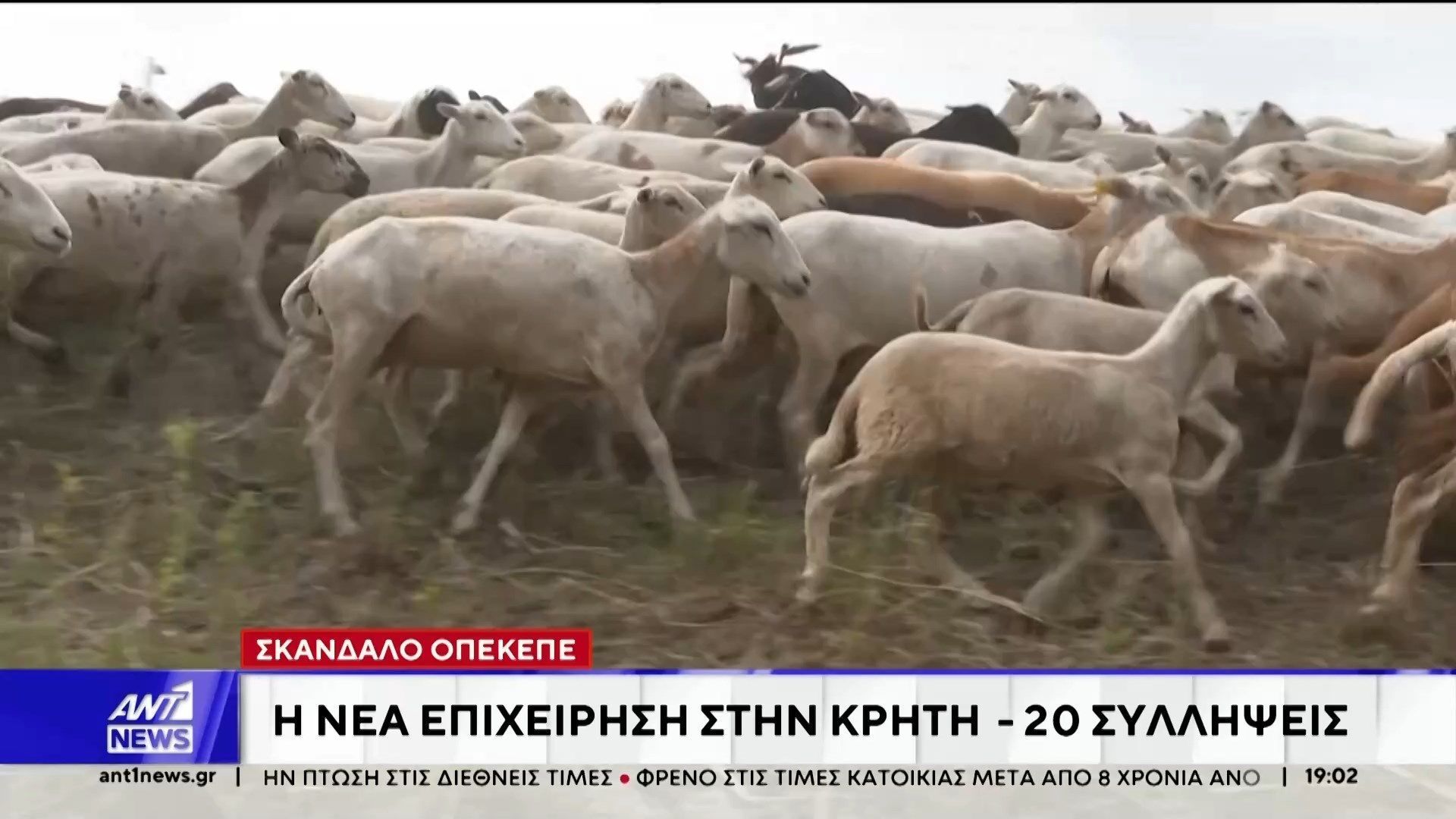 Σκάνδαλο ΟΠΕΚΕΠΕ: Νέα επιχείρηση στην Κρήτη με 20 συλλήψεις