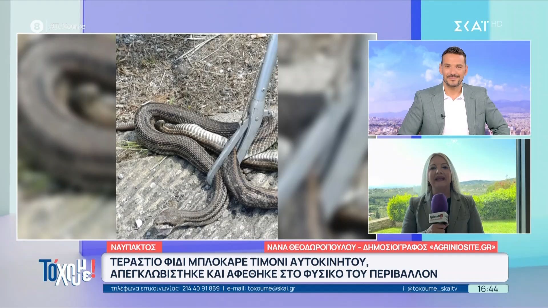 Σοκ για oδηγό: Μεγάλο φίδι είχε σφηνώσει στο τιμόνι του αυτοκινήτου
