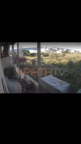 Σοκ! Η στιγμή των καταιγιστικών πυροβολισμών της εκτέλεσης