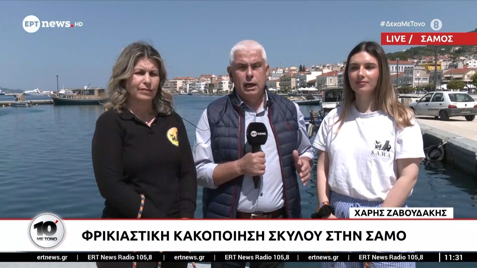 Σοκ στη Σάμο από την φρικτή κακοποίηση σκύλου