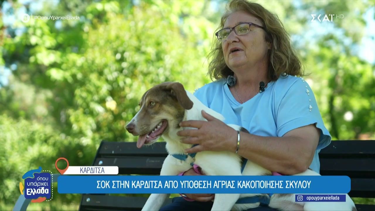 Σοκ στην Καρδίτσα από υπόθεση άγριας κακοποίησης σκύλου