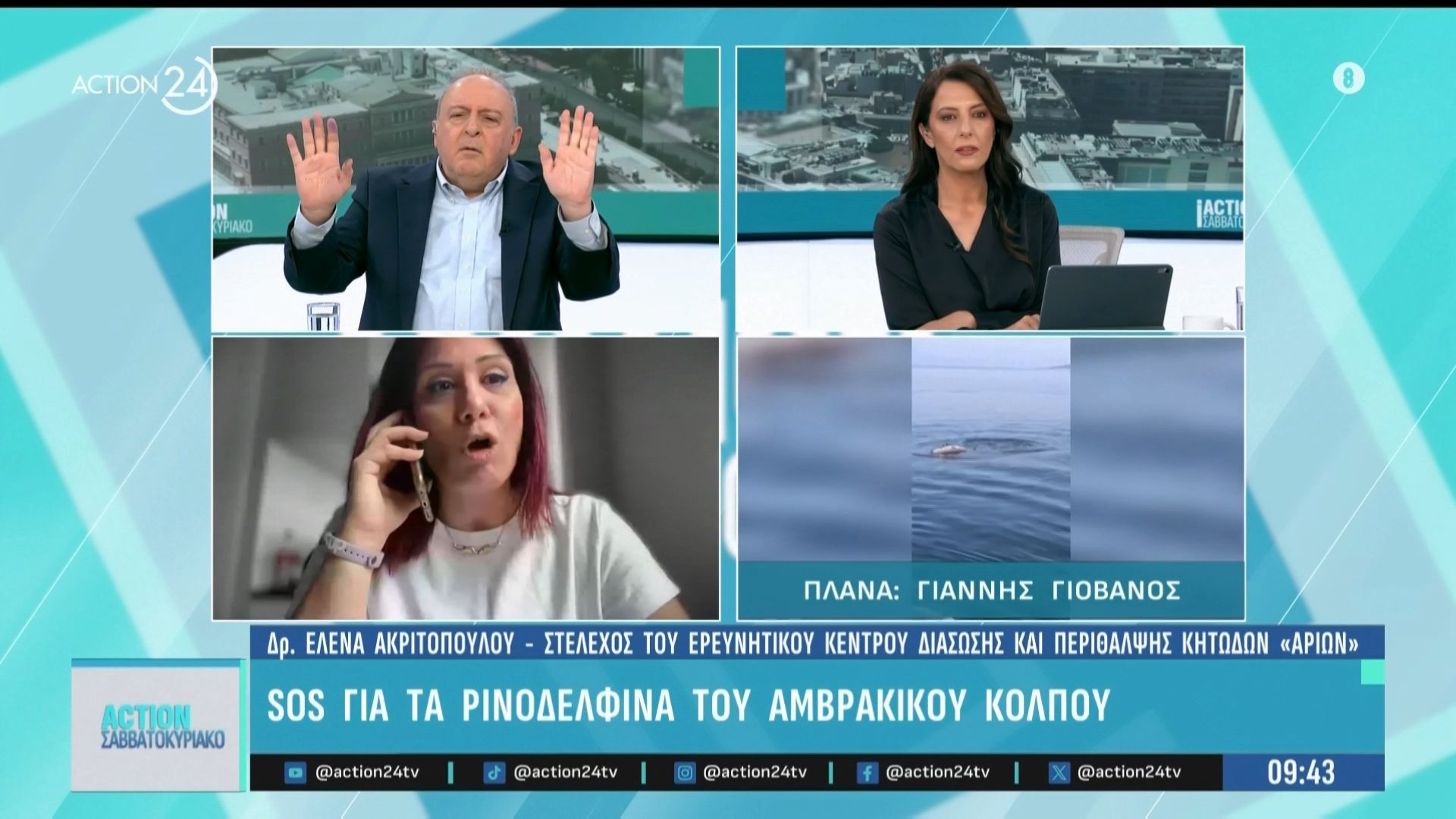 SOS για τα ρινοδελφίνια του Αμβρακικού κόλπου