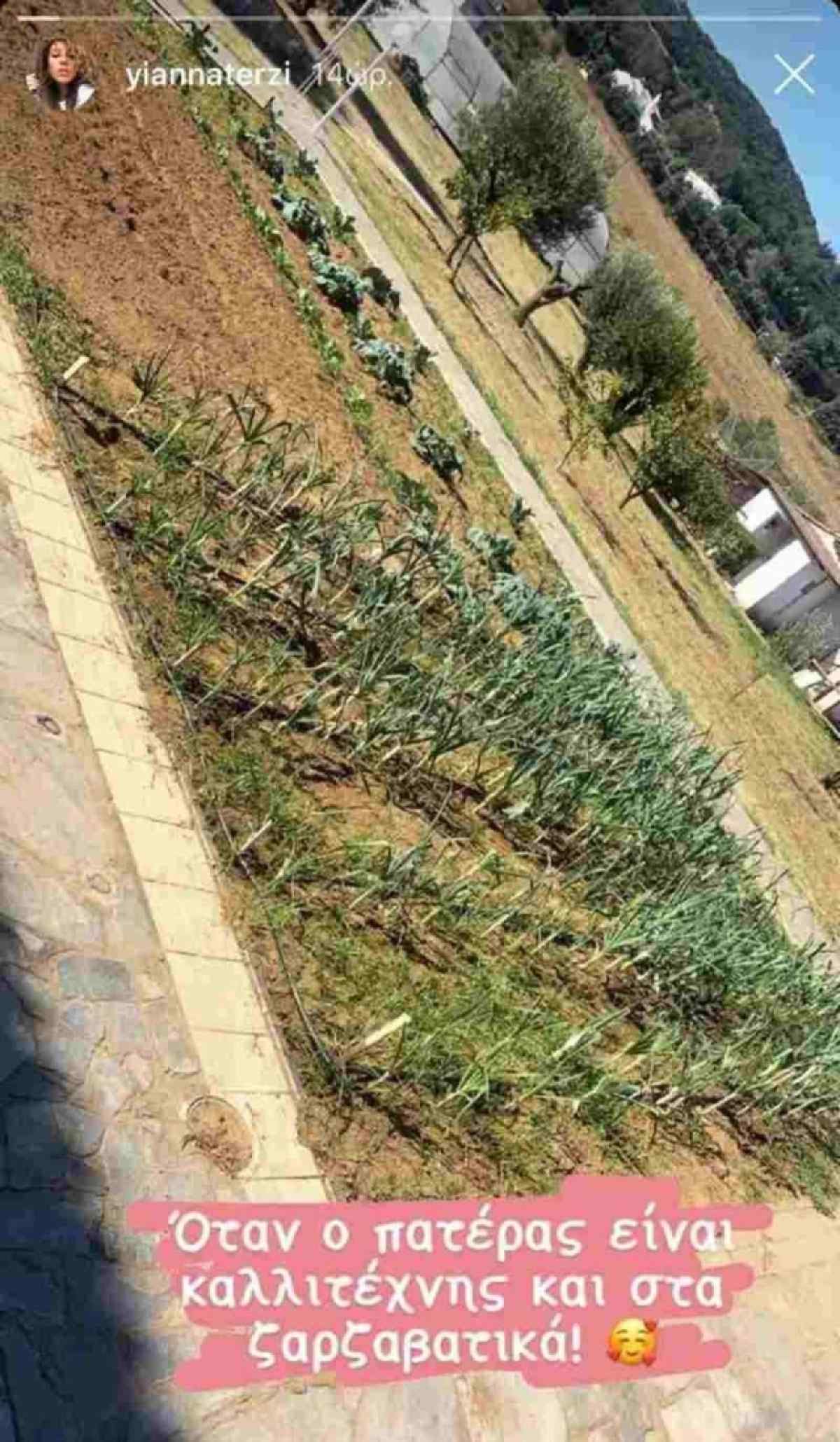 Πασχάλης Τερζής: Πάντρεψε την 26χρονη εγγονή του – Έλαμπε με το λαμπερό νυφικό της (Φωτογραφίες) 10 Σπίτι Πάσχαλη Τερζή