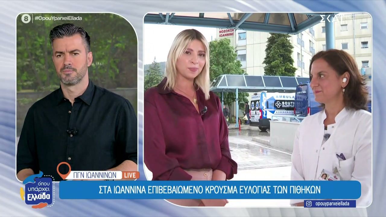 Στα Ιωάννινα επιβεβαιωμένο κρούσμα ευλογιάς των πιθήκων – Σε απομόνωση ο 45χρονος