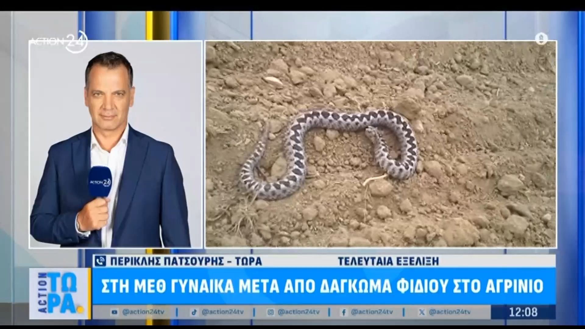 Στη ΜΕΘ γυναίκα μετά από δάγκωμα φιδιού στο Αγρίνιο